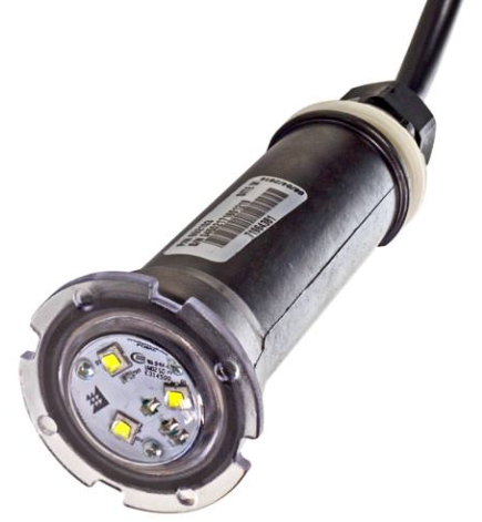 Foco Pentair Globrite a color 12V, 15W, 1,2 Amp 50 FT de Cable